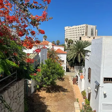 Apartment Jacaranda, Where Calm And Joy Go Hand In Hand Playa de las Americas (Tenerife)
